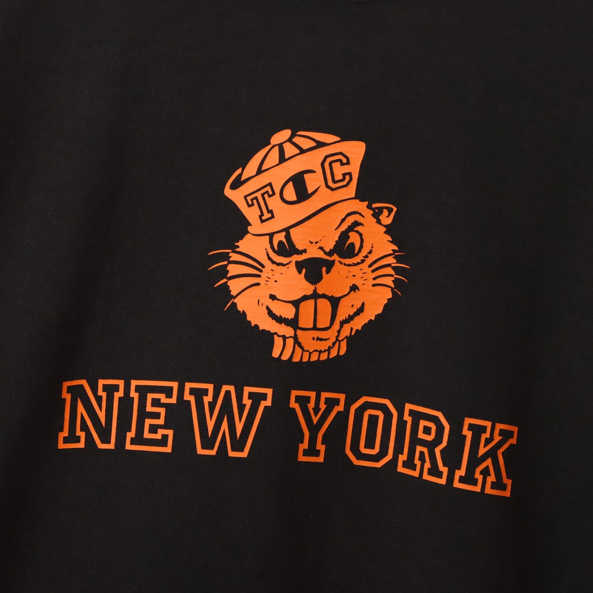 ショートスリーブTシャツ (C3-B334)