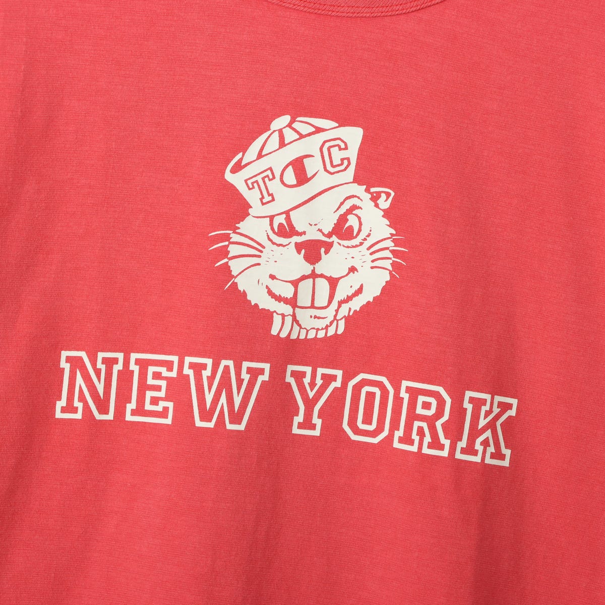 ショートスリーブTシャツ (C3-B334)
