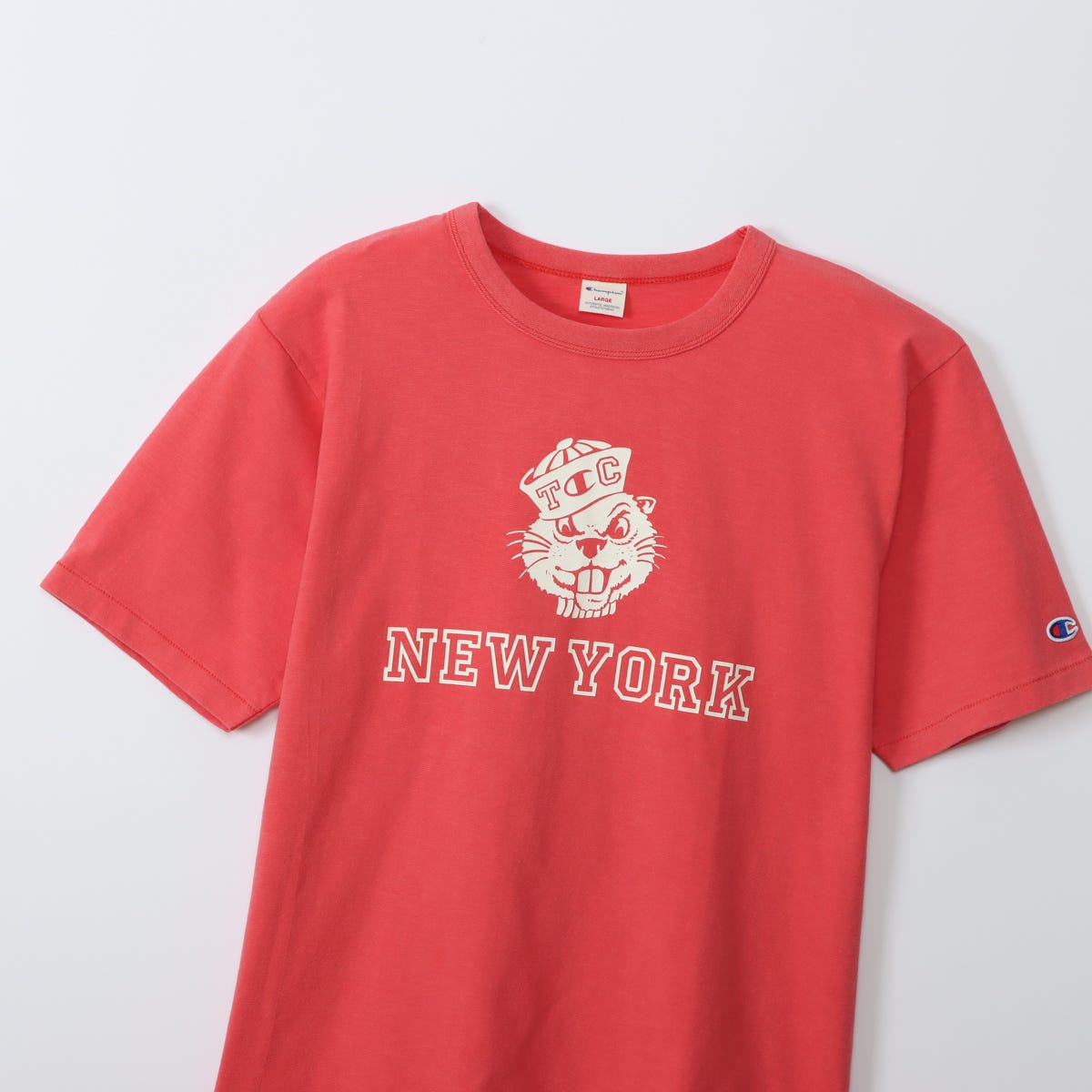 ショートスリーブTシャツ (C3-B334)