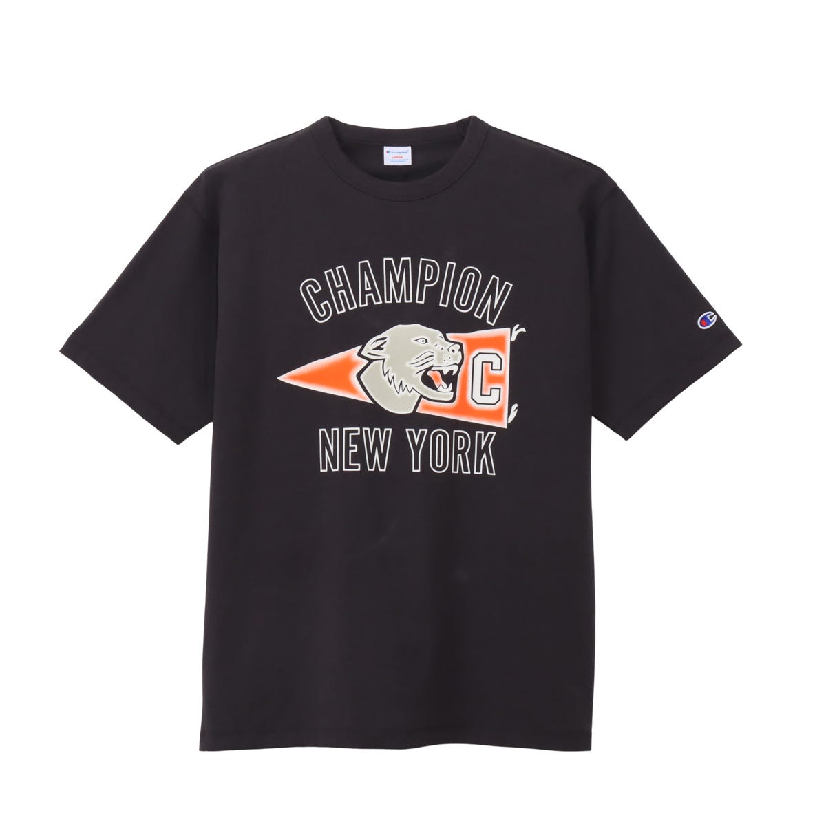 ショートスリーブTシャツ (C3-D315)
