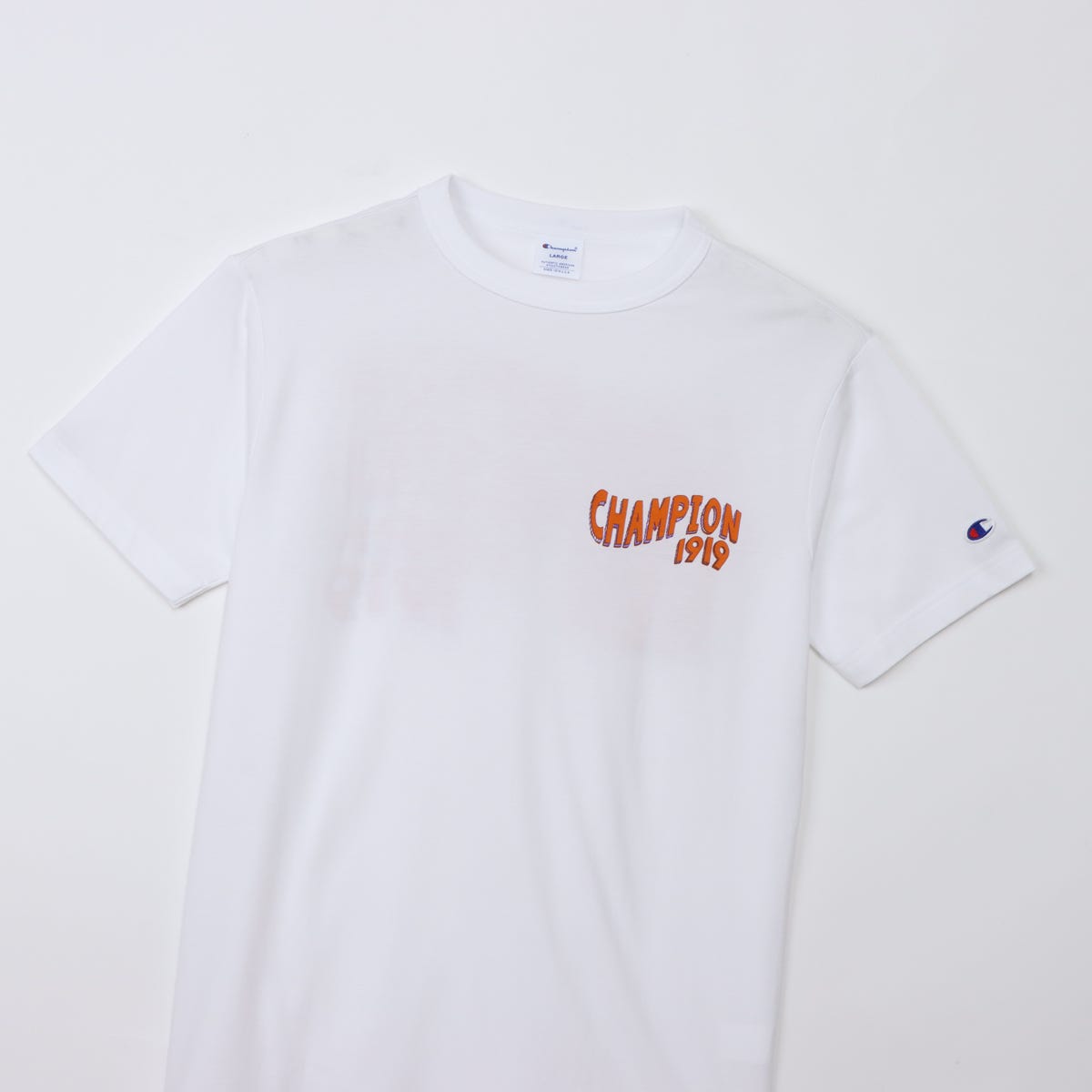 ショートスリーブTシャツ (C3-D350)