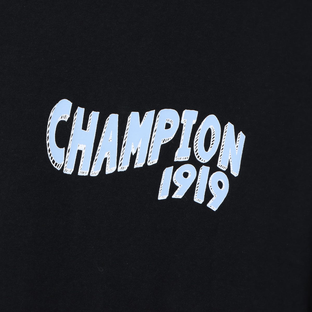 ショートスリーブTシャツ (C3-D350)