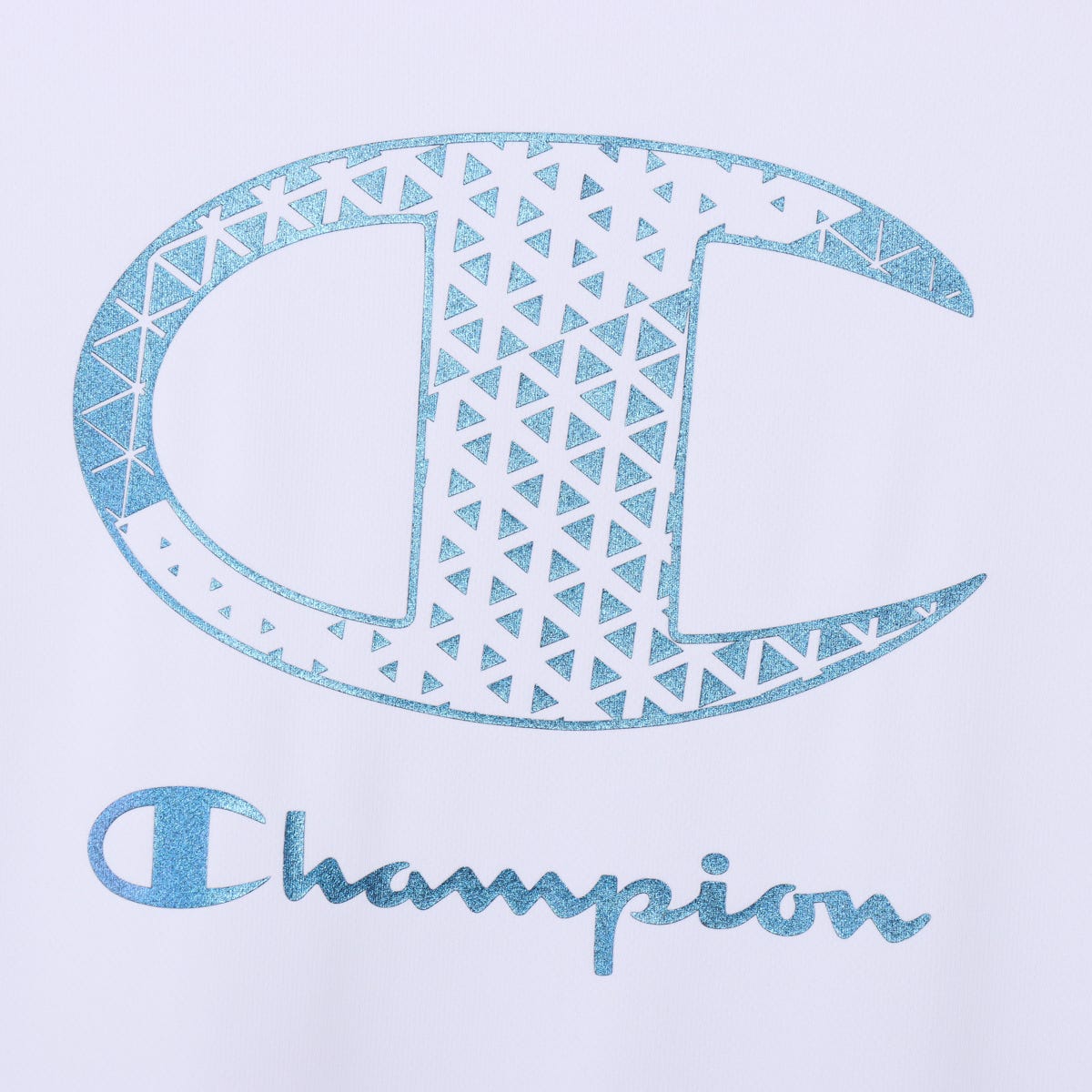 ショートスリーブTシャツ (C3-DV315)