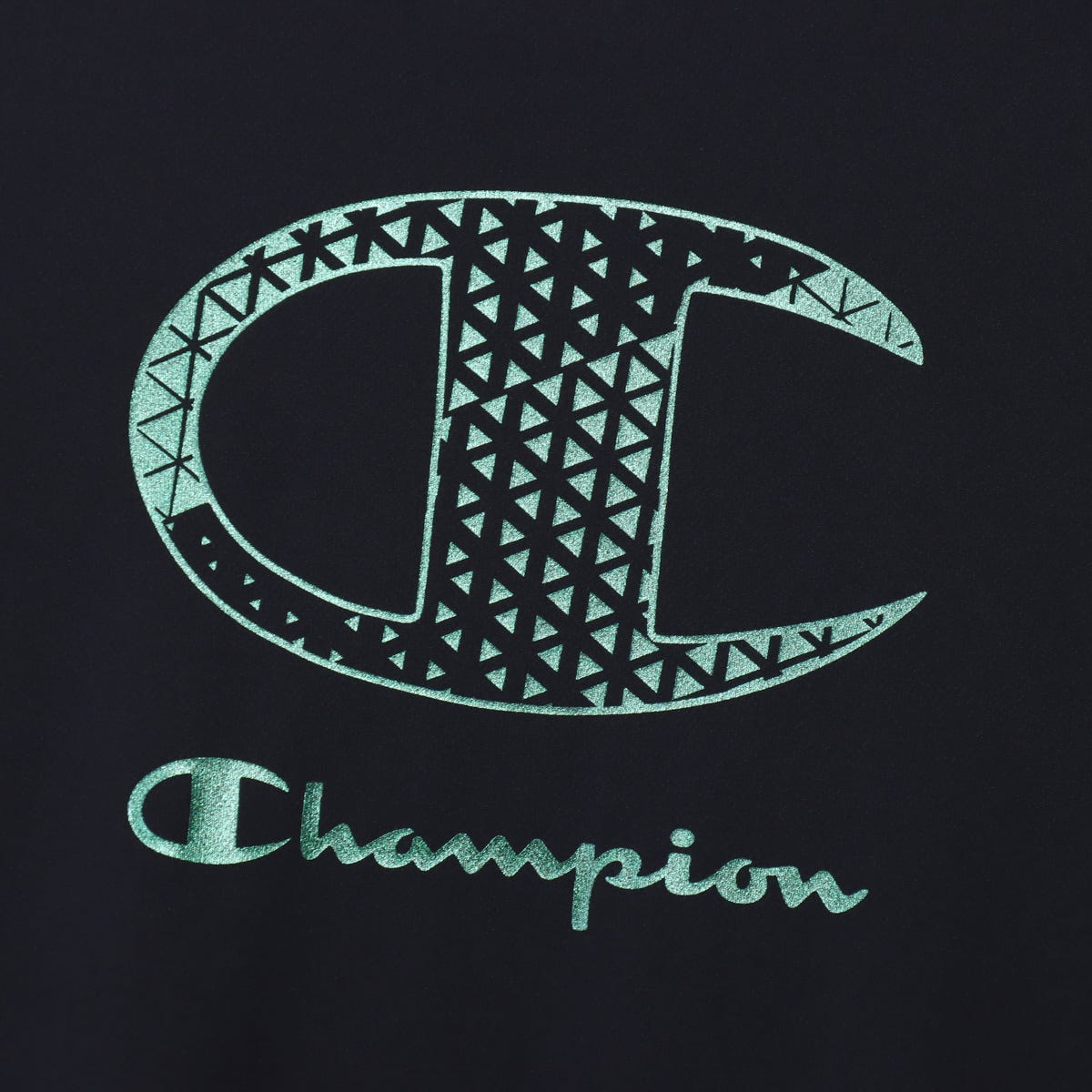 ショートスリーブTシャツ (C3-DV315)