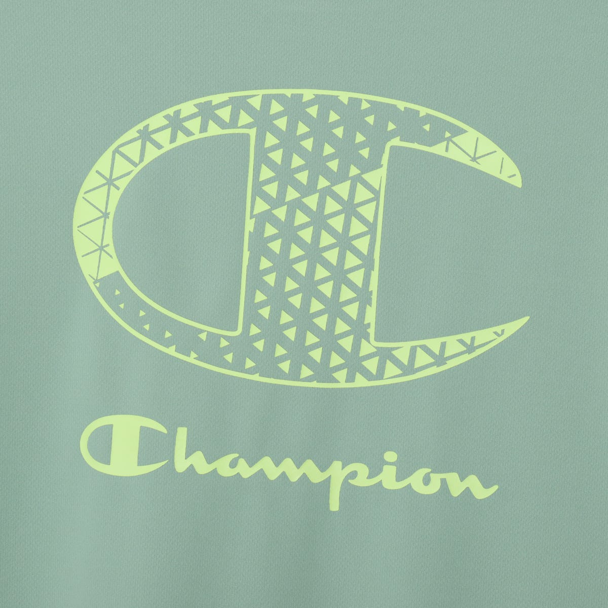 ショートスリーブTシャツ (C3-DV315)