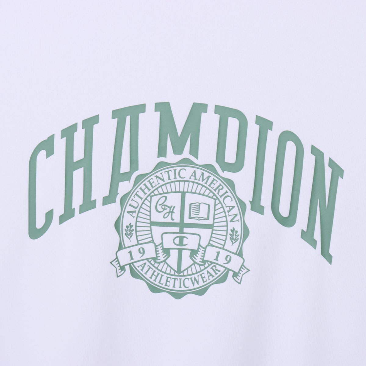 ショートスリーブTシャツ (C3-DV318)