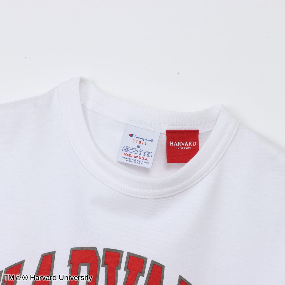 ティーテンイレブン ショートスリーブTシャツ (C5-D303)