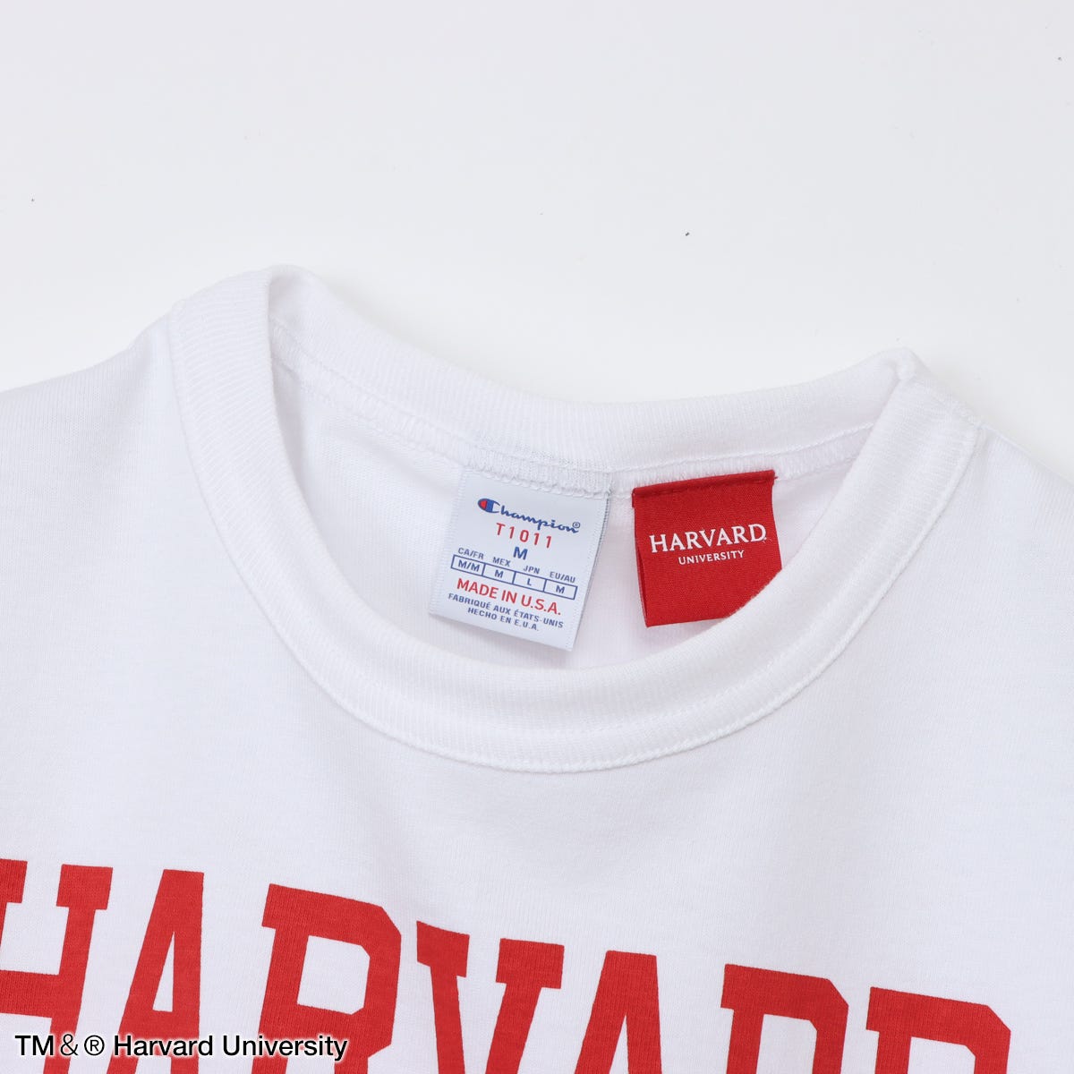 ティーテンイレブン ショートスリーブTシャツ (C5-D303)