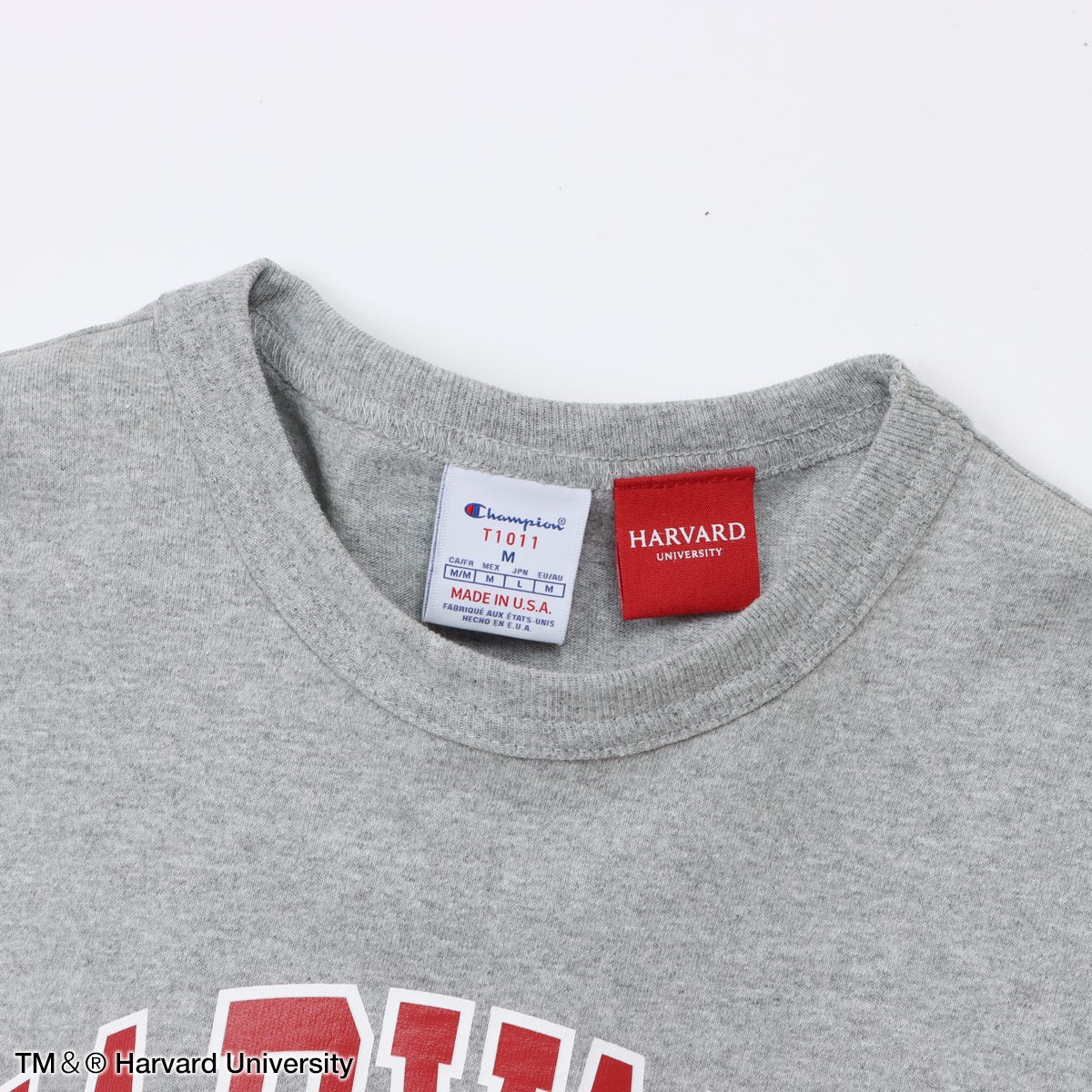 ティーテンイレブン ショートスリーブTシャツ (C5-D303)