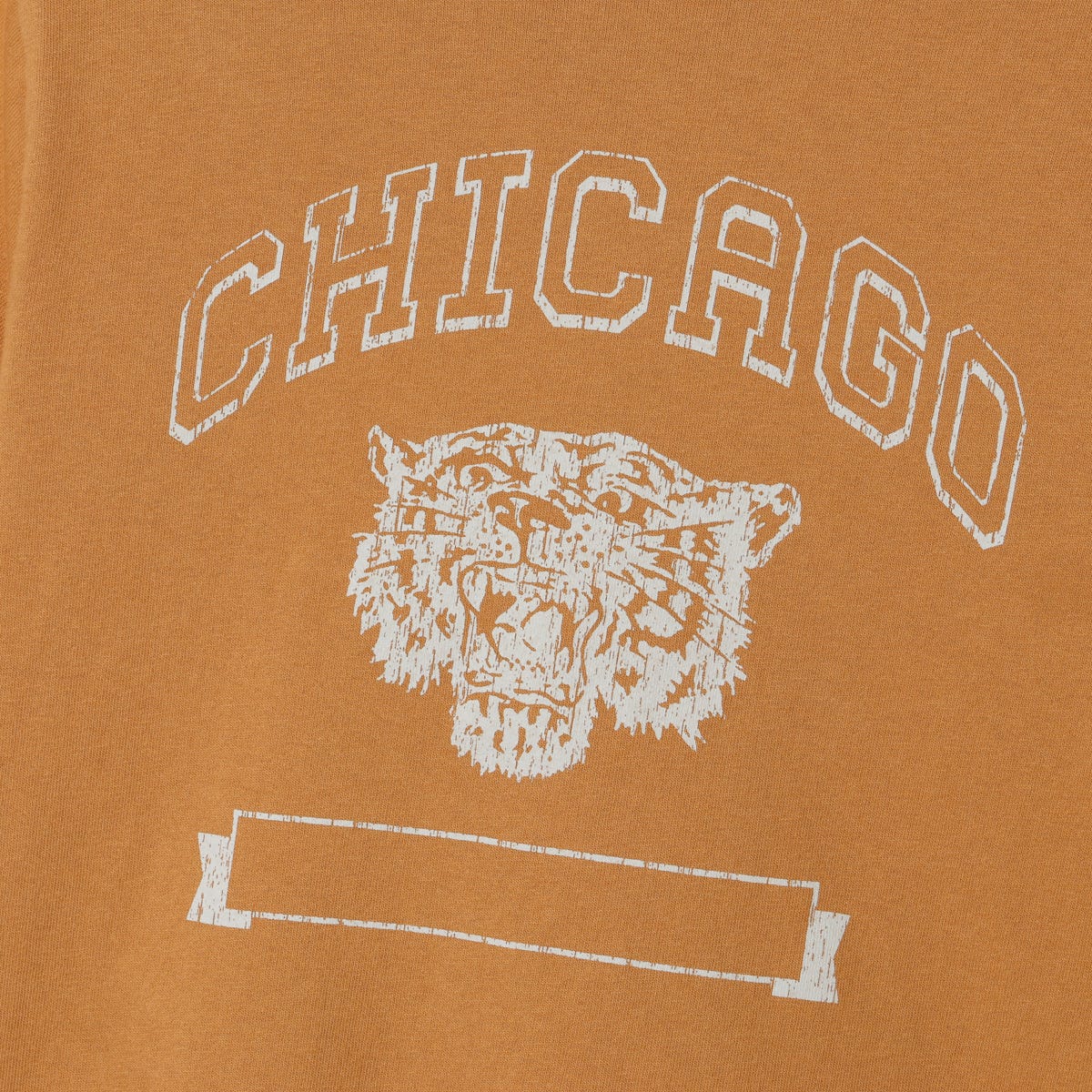キッズ ショートスリーブTシャツ (CK-D307)
