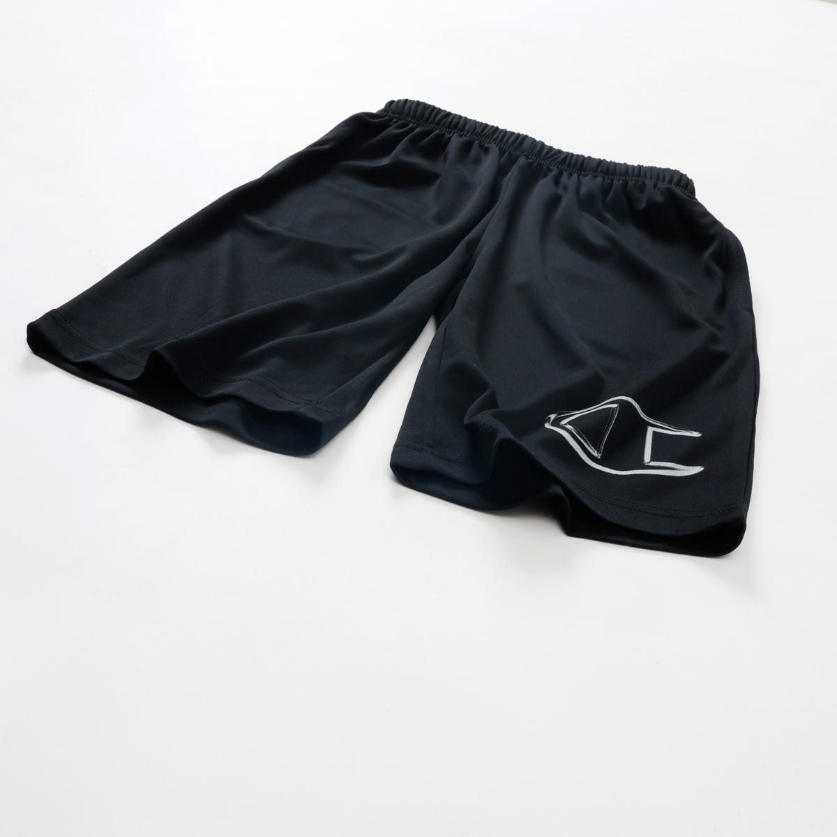 キッズ Tシャツ アンド ショーツセット (CK-DSW04)