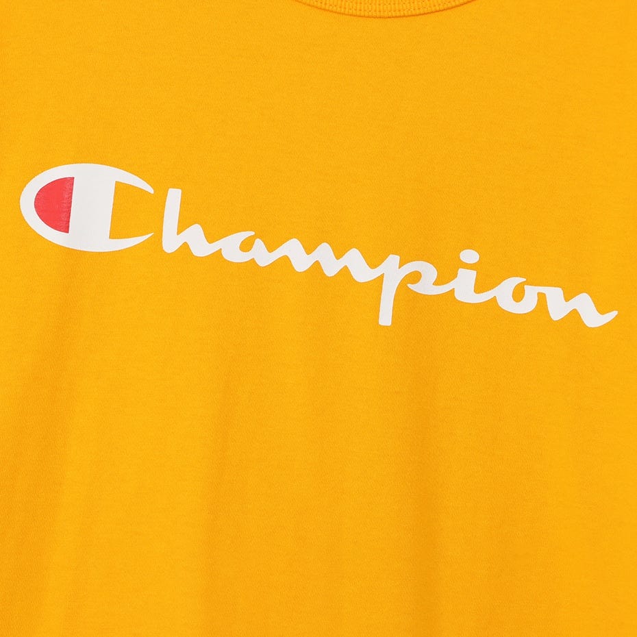 ショートスリーブTシャツ (CK-Z302)