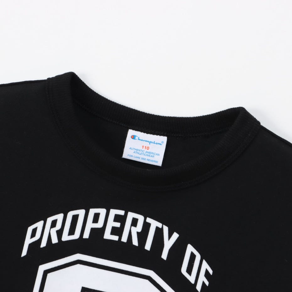 ロングスリーブTシャツ (CK-Z401)