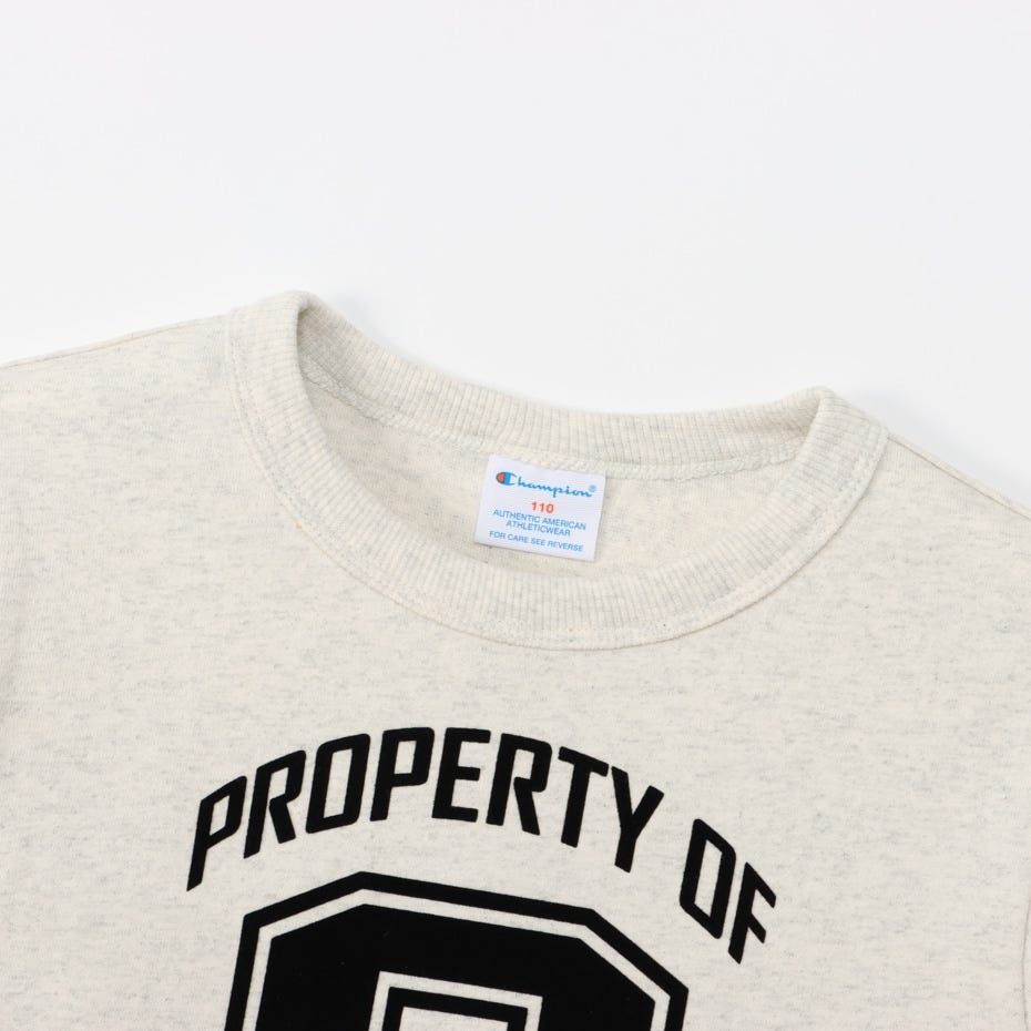 ロングスリーブTシャツ (CK-Z401)