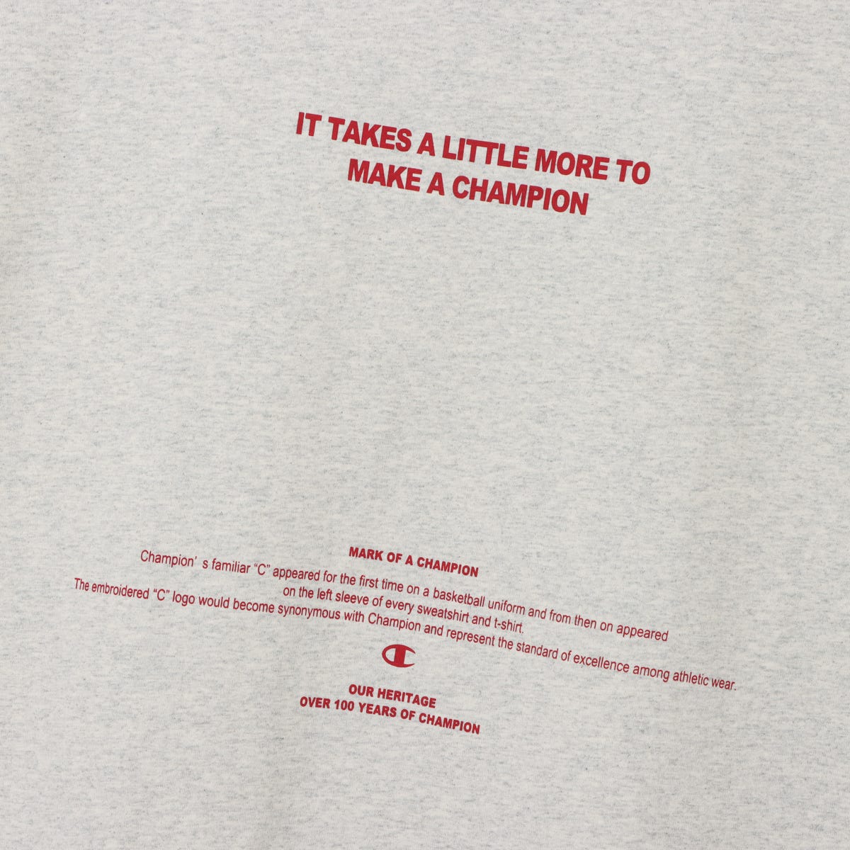 ショートスリーブTシャツ (CW-D319)