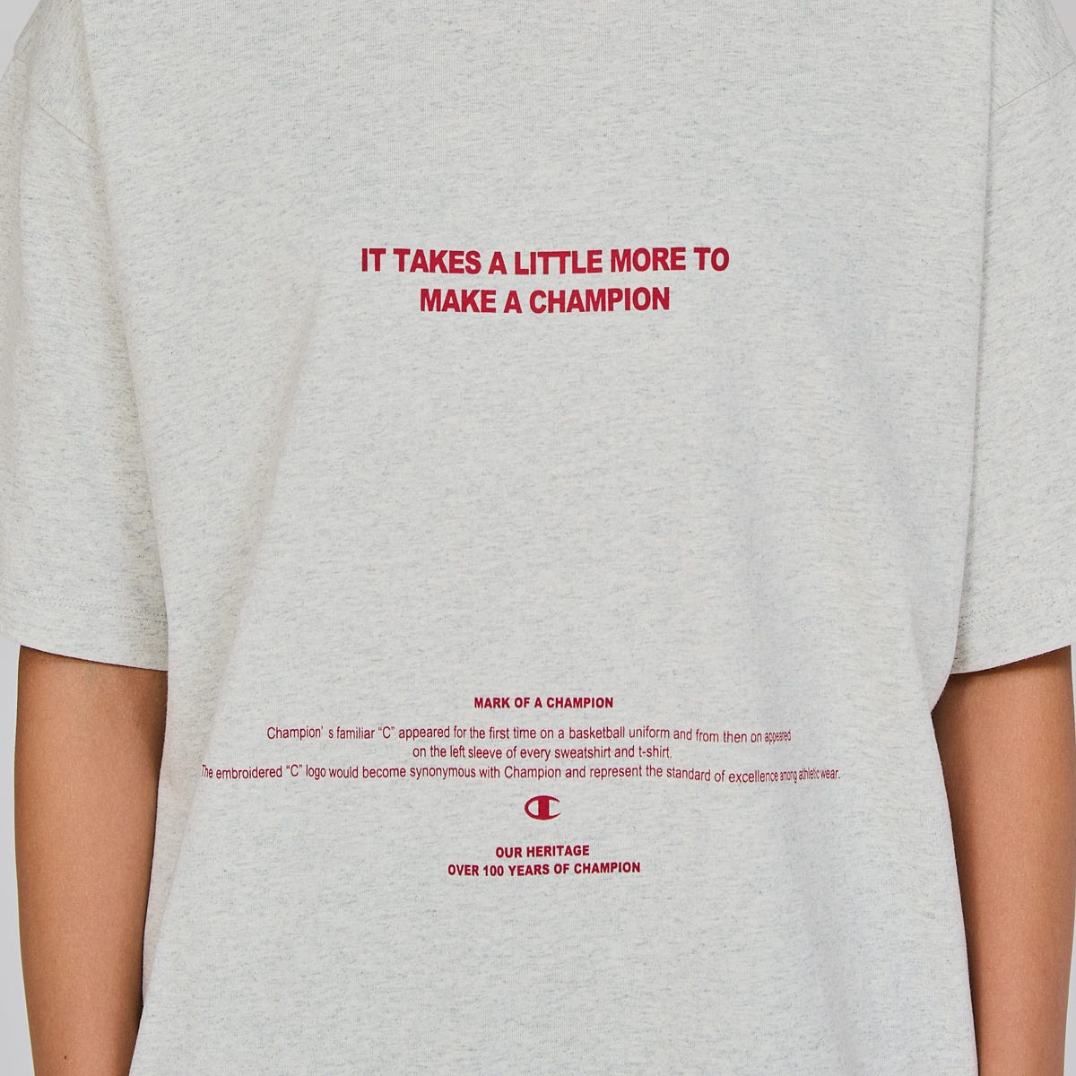 ショートスリーブTシャツ (CW-D319)