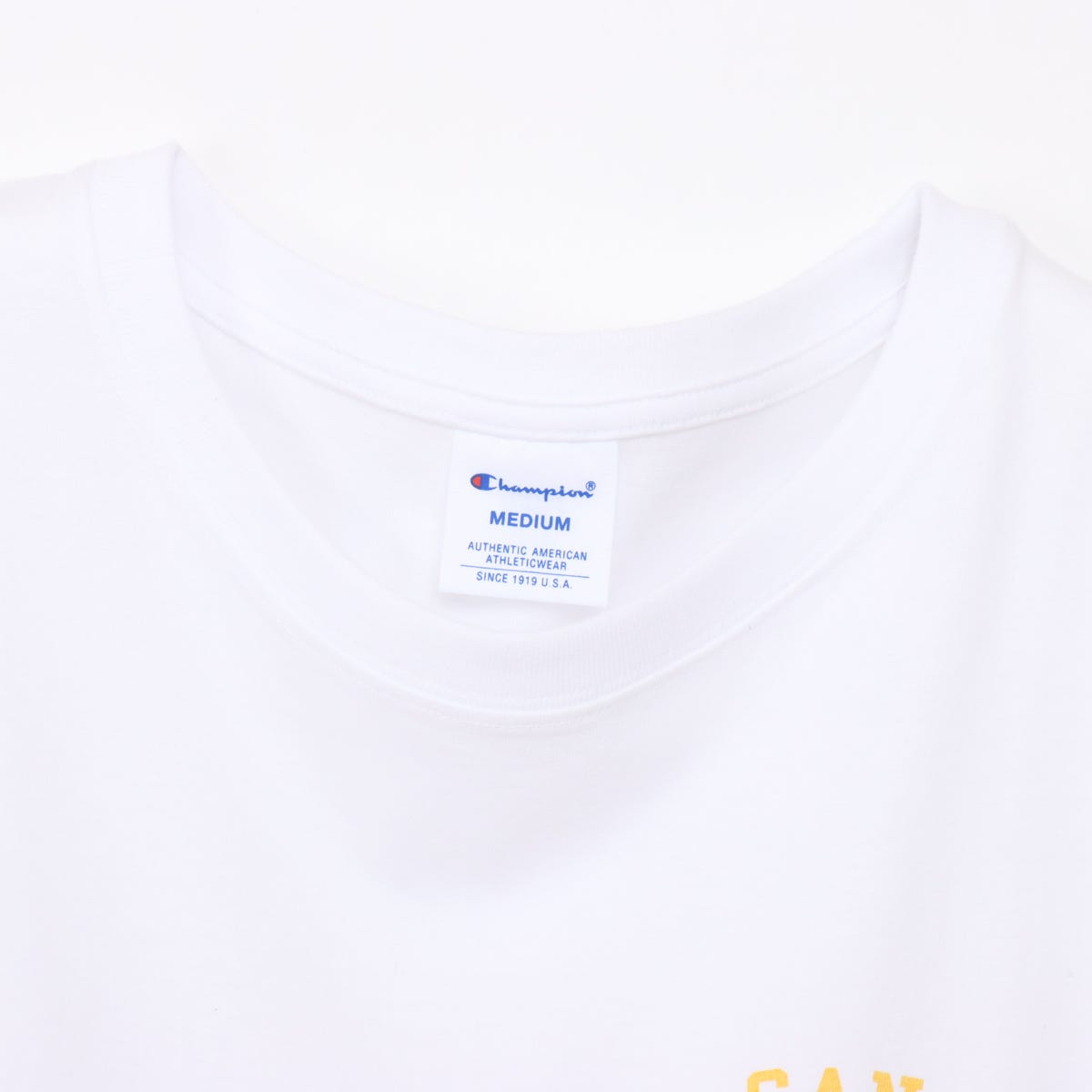 ショートスリーブTシャツ (CW-D326)