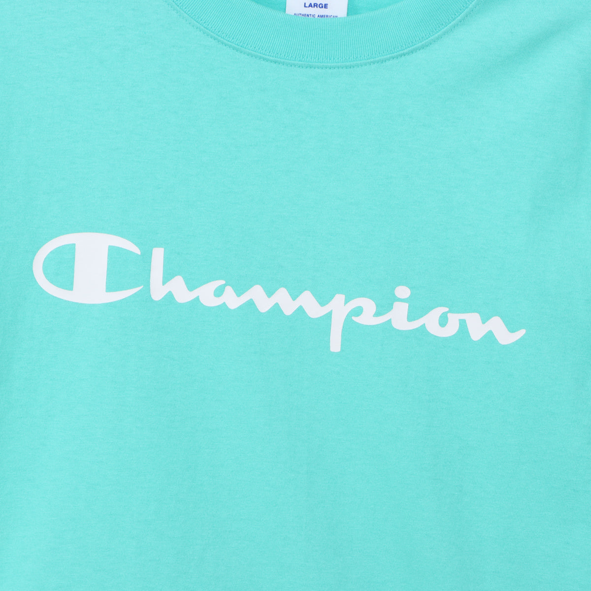 ショートスリーブTシャツ (C3-X358)