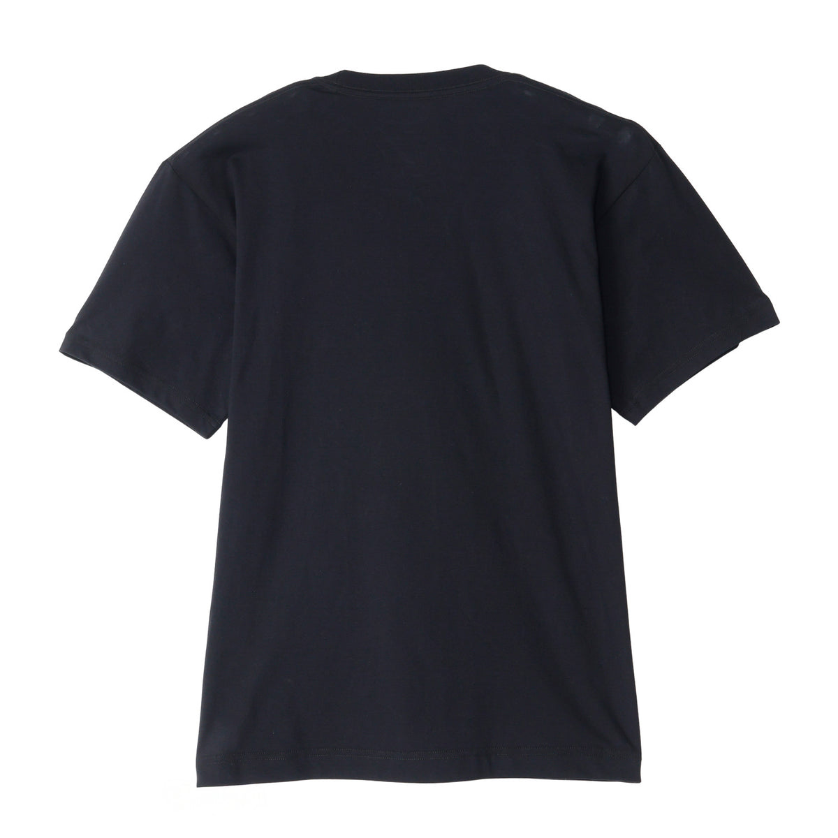 2PリングスパンクルーネックTシャツ (CM1-B701P)