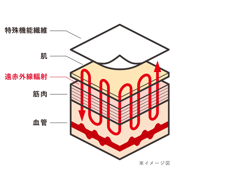 血行促進のメカニズム