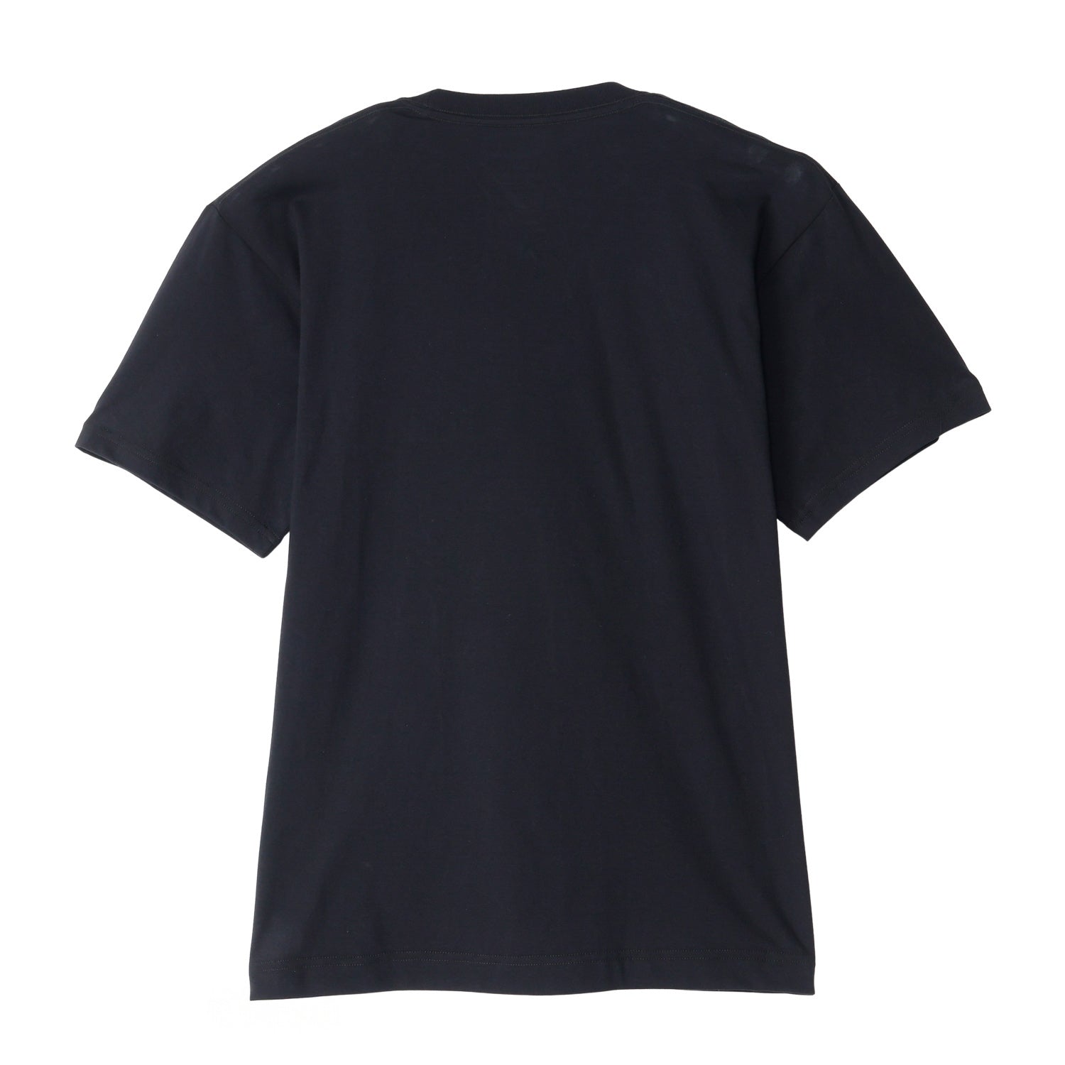 2PリングスパンクルーネックTシャツ (CM1-B701P)